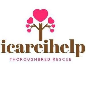 Meet your Posher, Dina